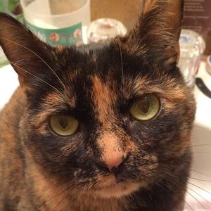 Meet your Posher, Melissa